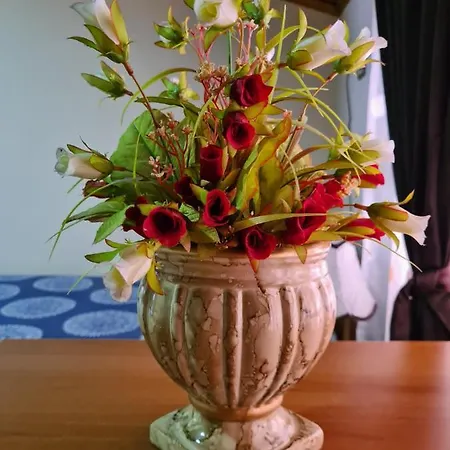 Bar Kafe Pjetri Paskuqan